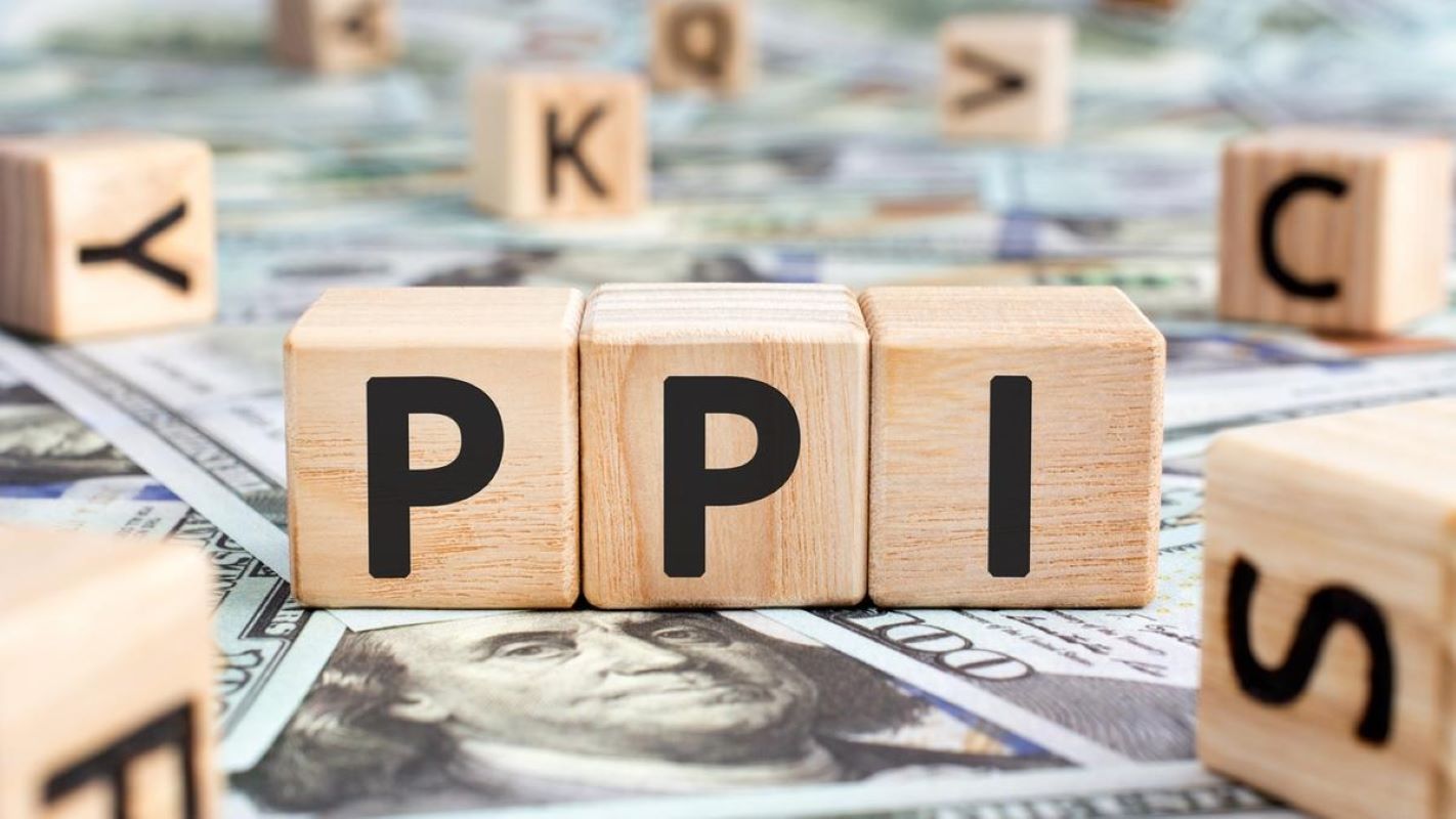 India released its Producer Price Index (PPI) data for goods and services
